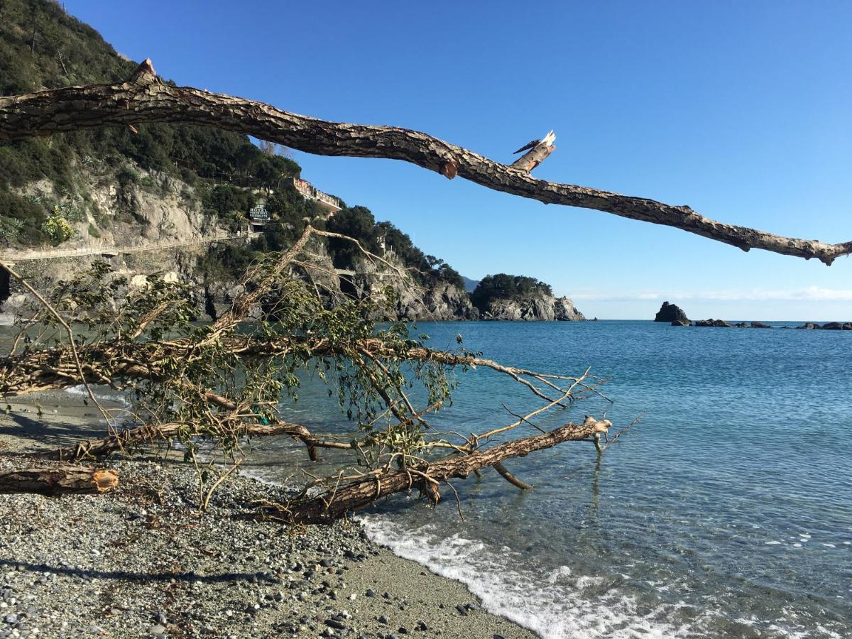 Le Cinque Vele ***** Cinque Terre Lejlighed Monterosso al Mare Eksteriør billede