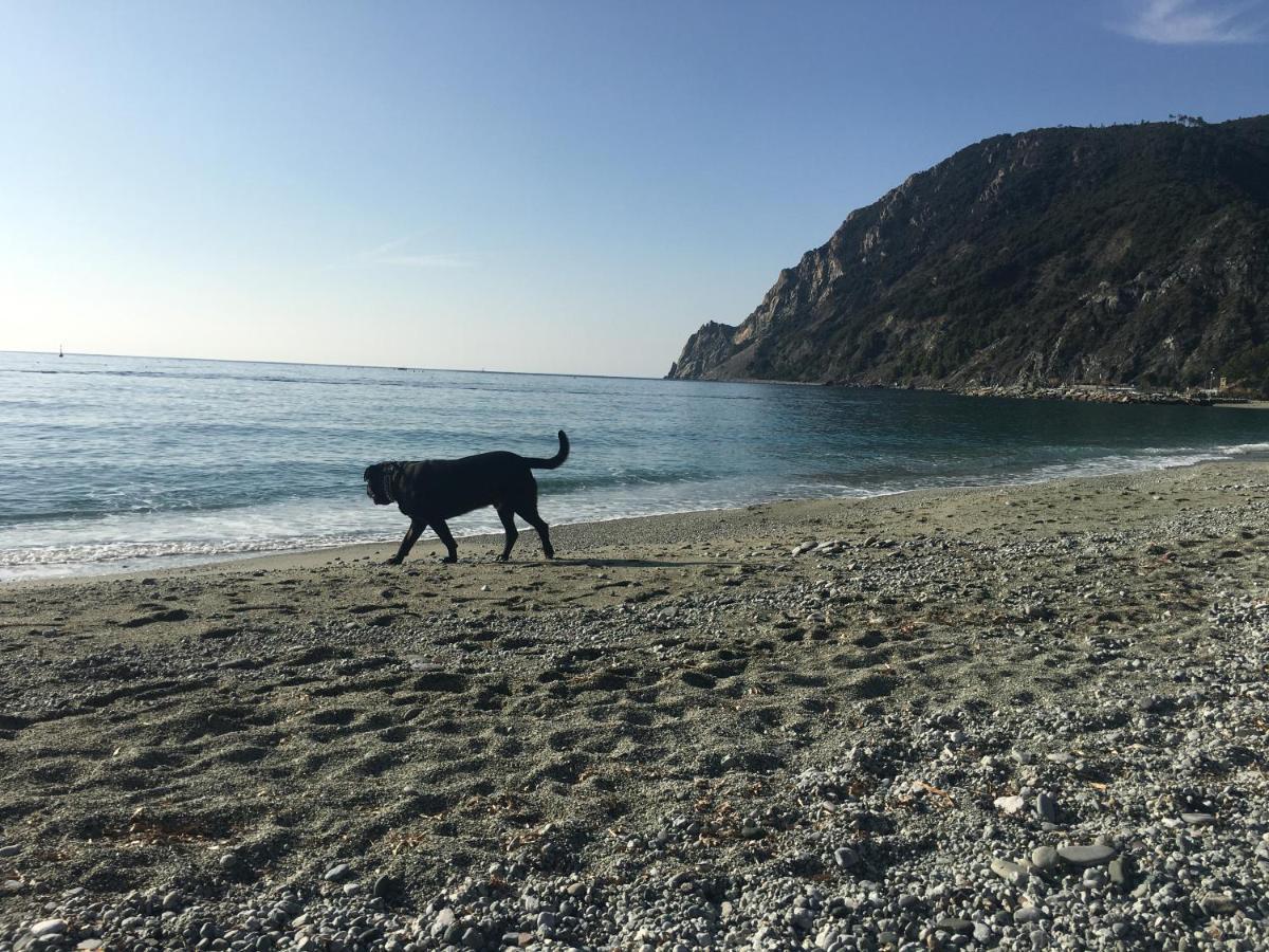 Le Cinque Vele ***** Cinque Terre Lejlighed Monterosso al Mare Eksteriør billede