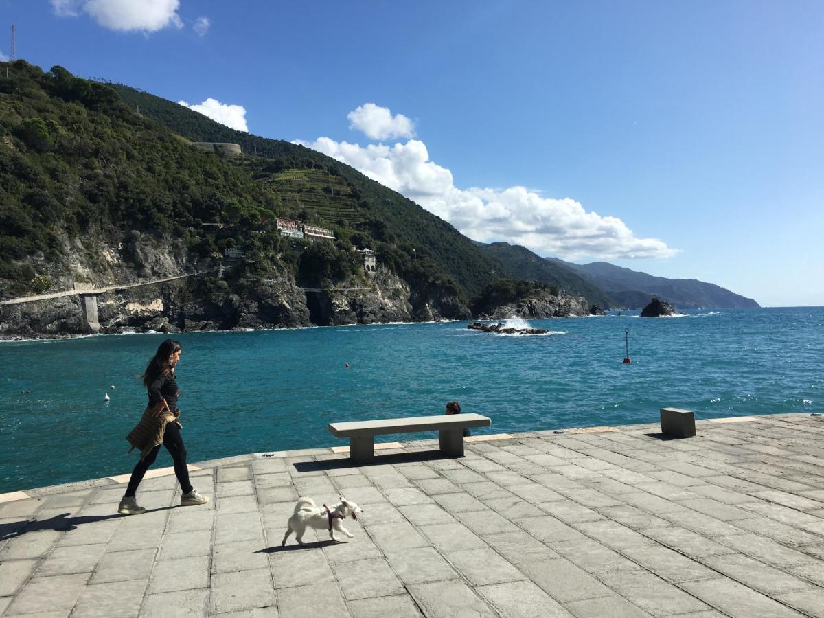 Le Cinque Vele ***** Cinque Terre Lejlighed Monterosso al Mare Eksteriør billede